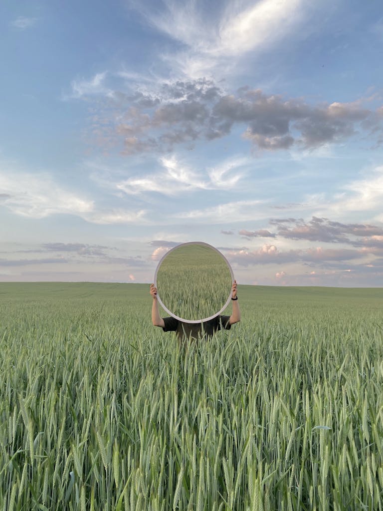 A mirror reflecting the vast, serene wheat field under a cloudy sky, creating a surreal and peaceful scene.