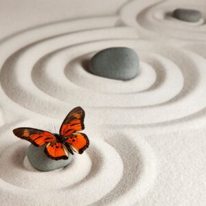 zen, meditation, yoga, spirituality, butterfly, nature, minimalistic, buddhism, zen, zen, zen, zen, zen, meditation, meditation, yoga, yoga